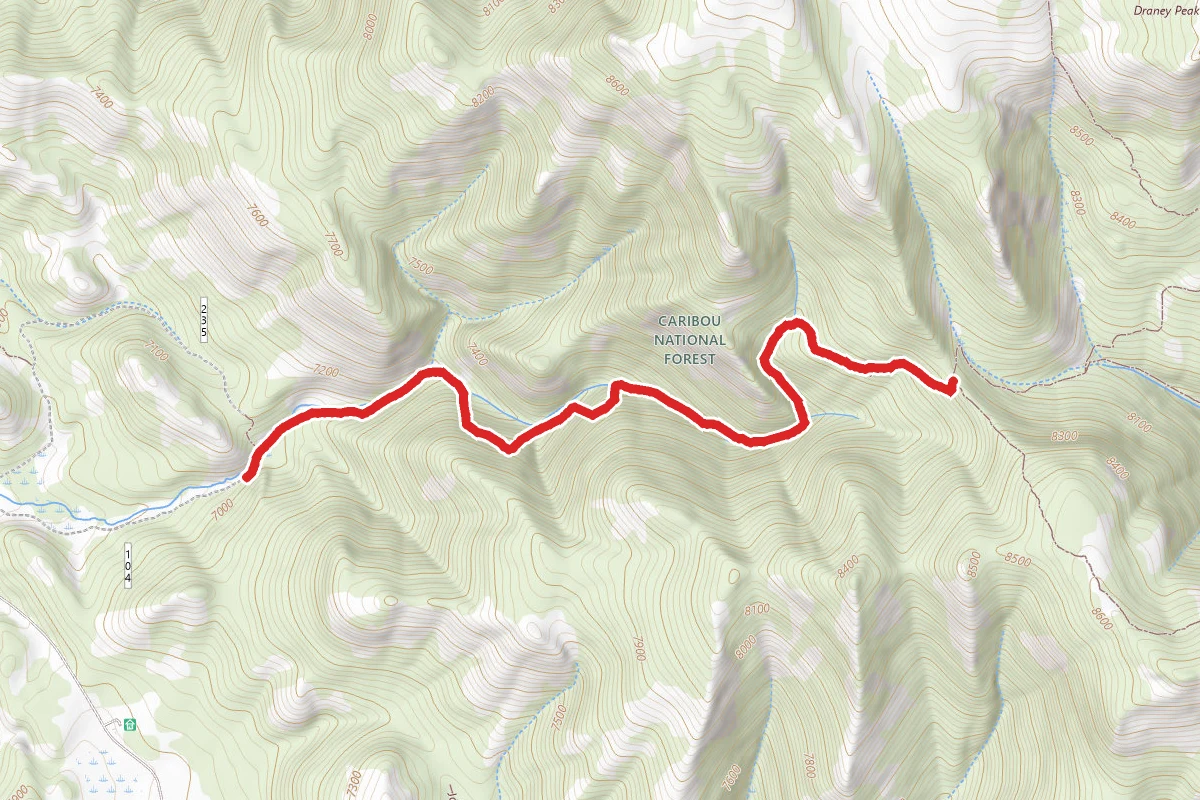Bear Canyon