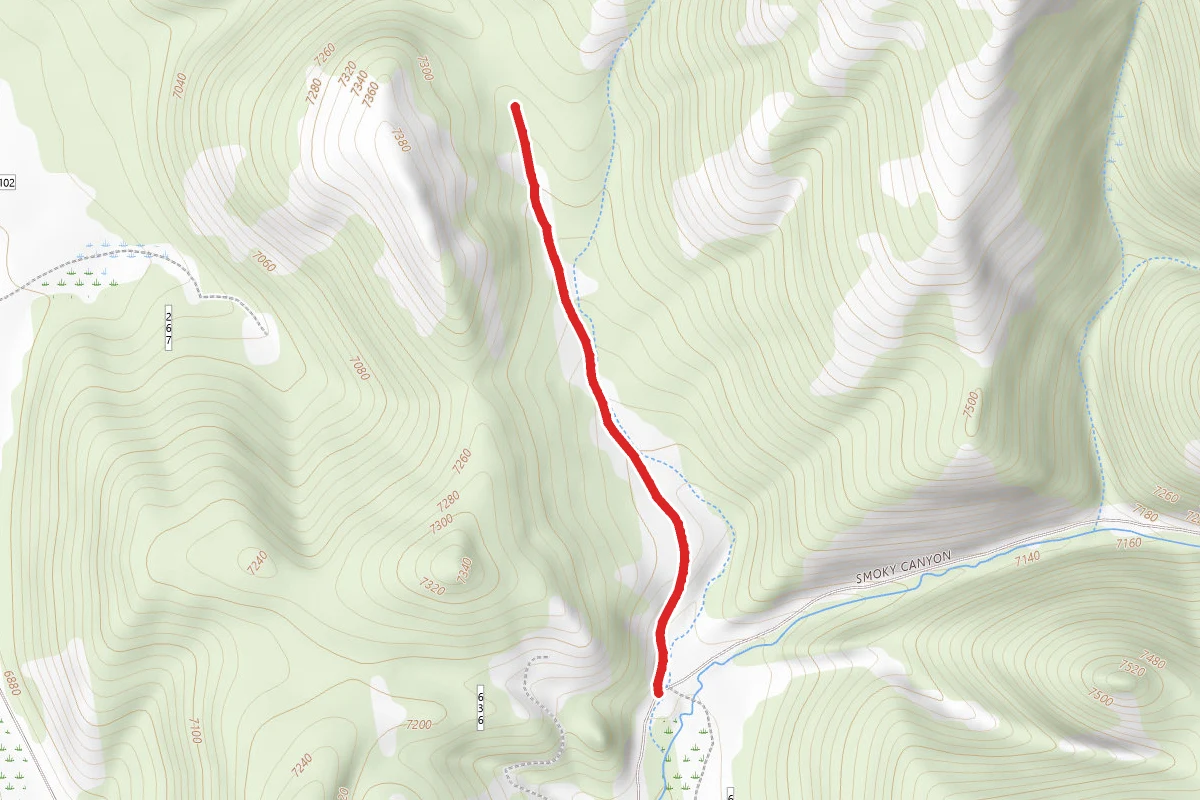 Johnson Creek