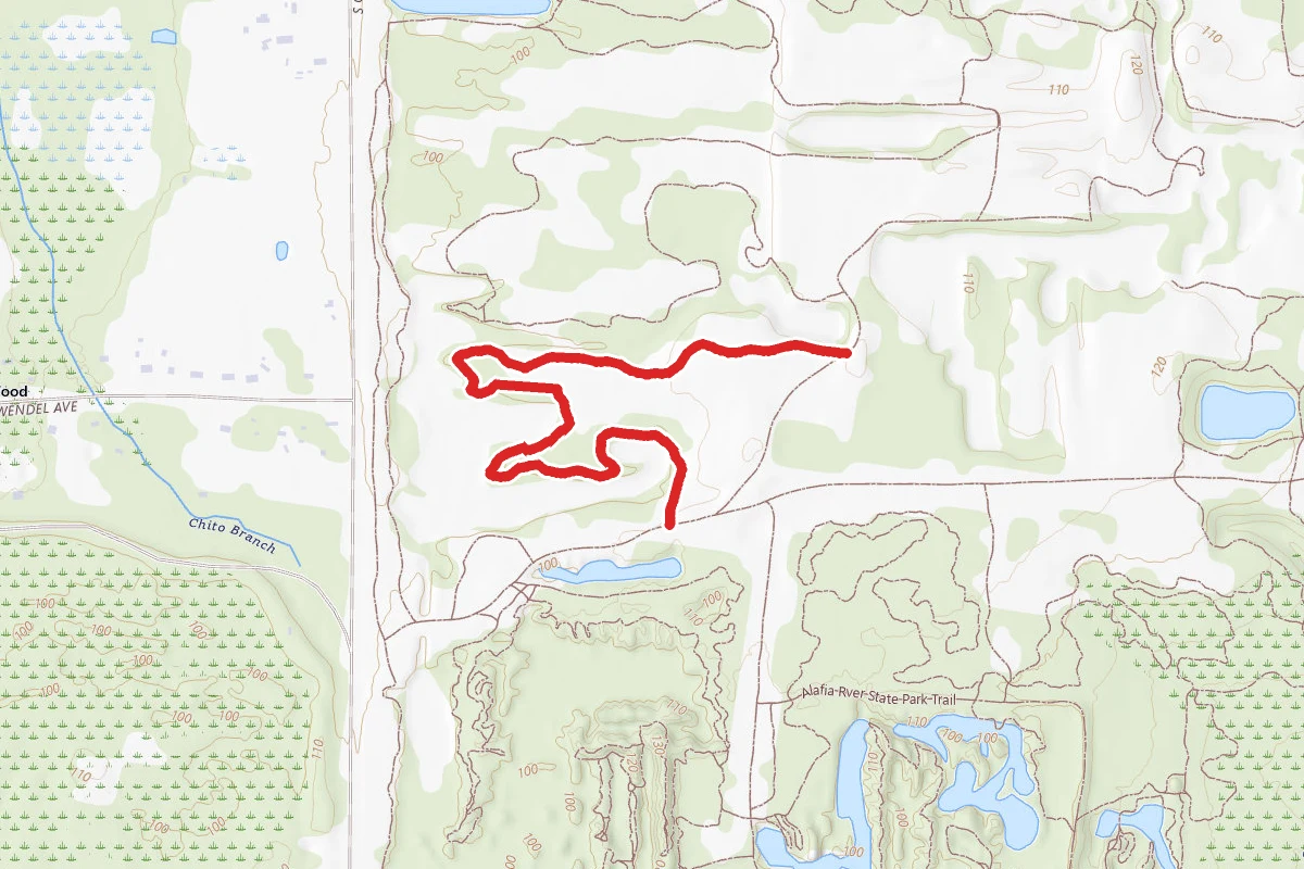 Yellow Trail