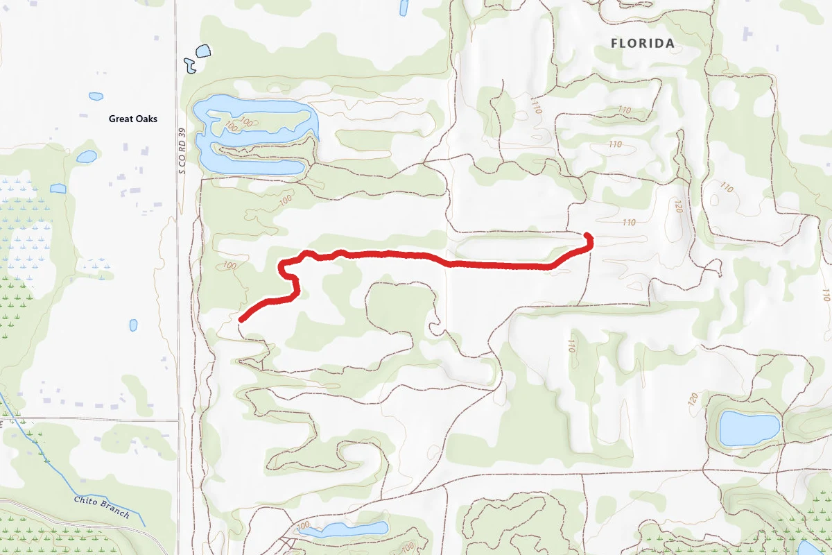 White Trail