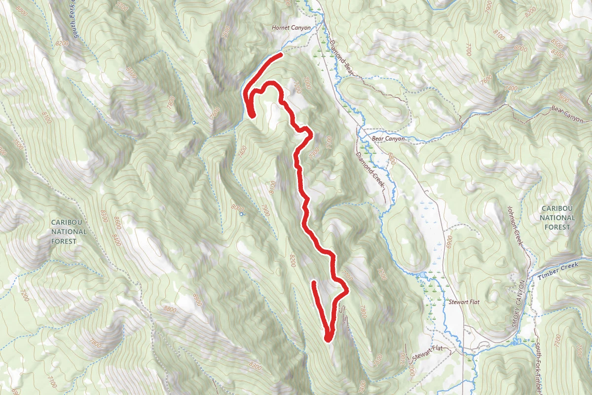 Hornet Canyon Atv