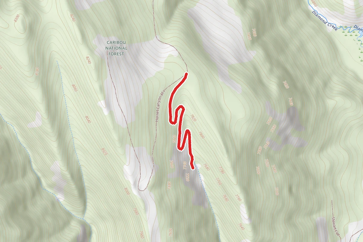 Hornet Canyon Atv East