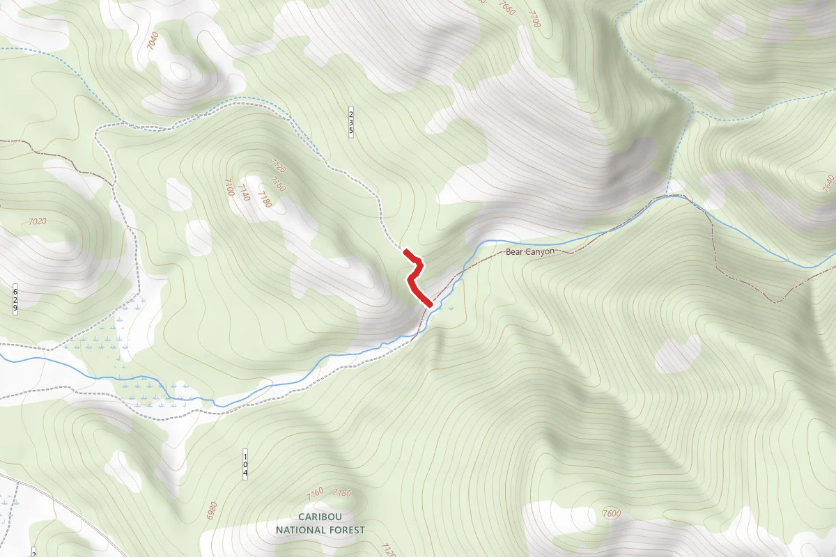 Bear Canyon Loop