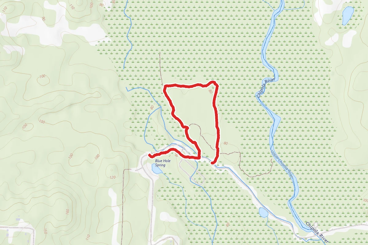 Sinkhole Trail