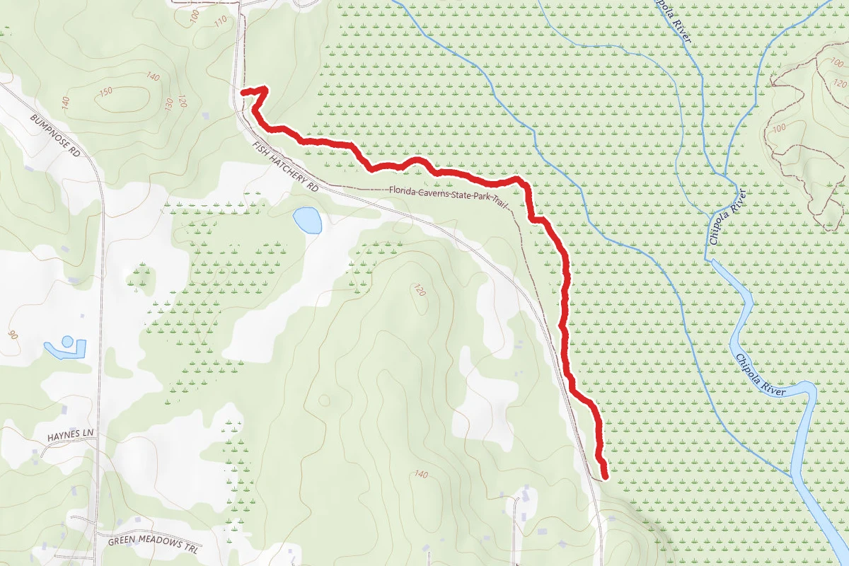 Floodplain Trail