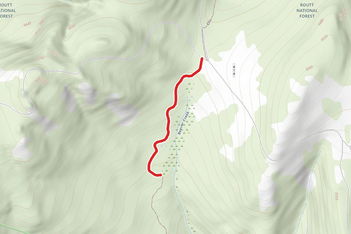 Ellis Trail