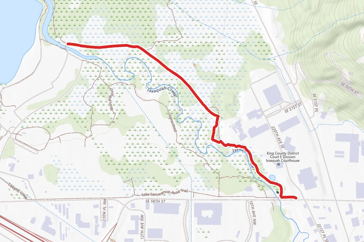 Issaquah Creek
