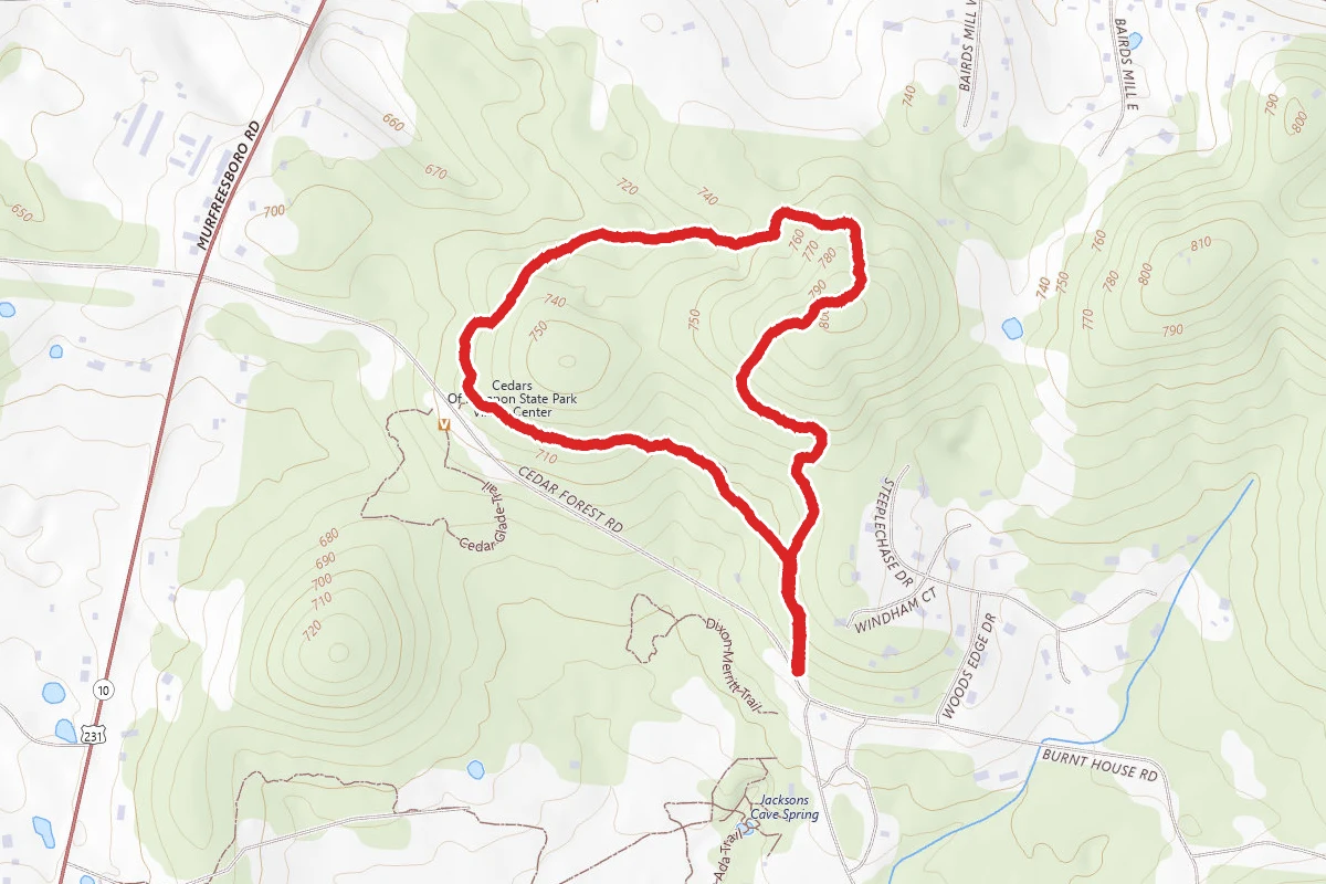 Cedar Forest Trail