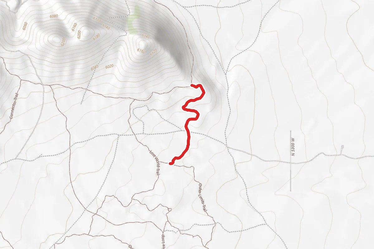 Orange Forks Trail