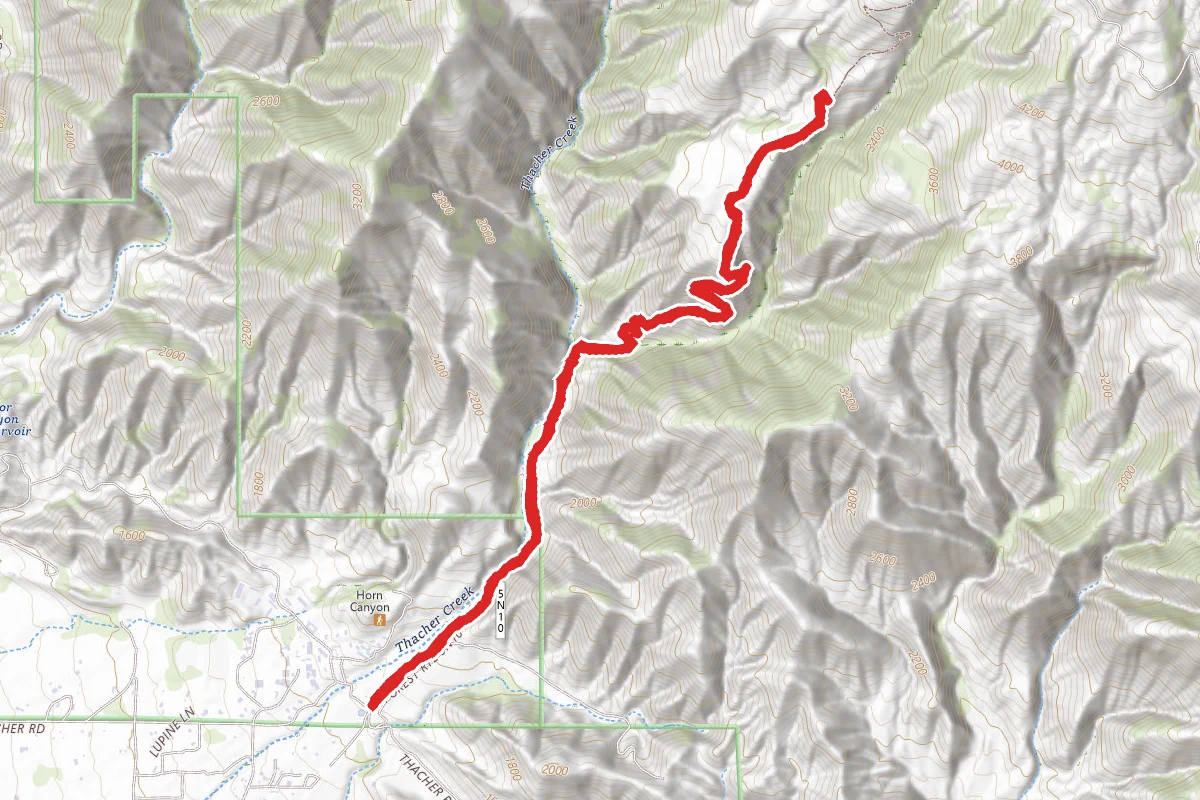 Horn Canyon Trail