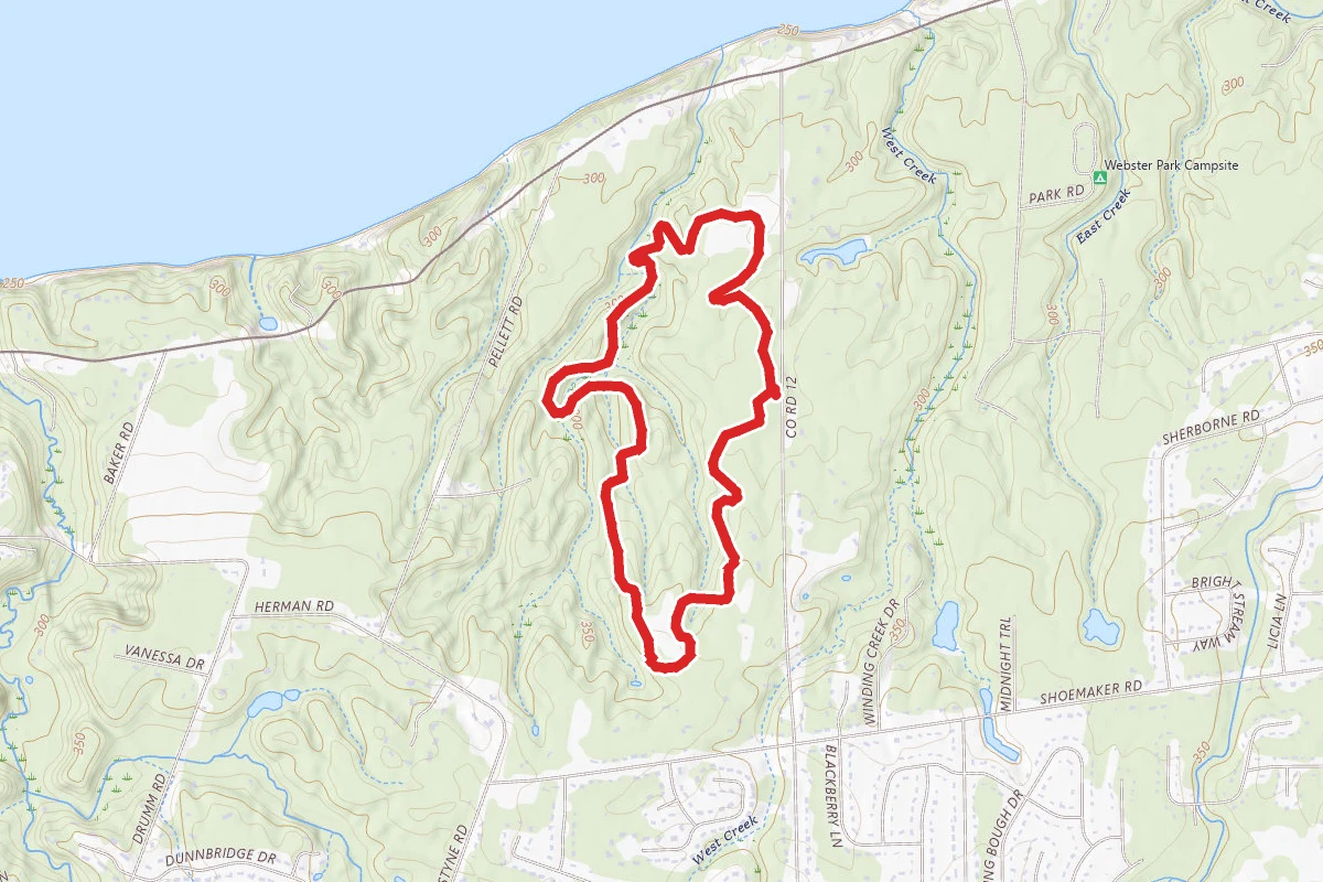 Whiting Road Nature Preserve Loop