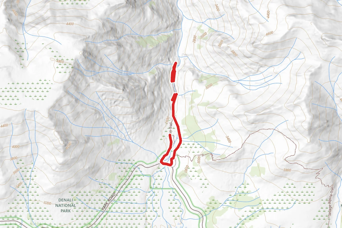 Savage River Loop Trail