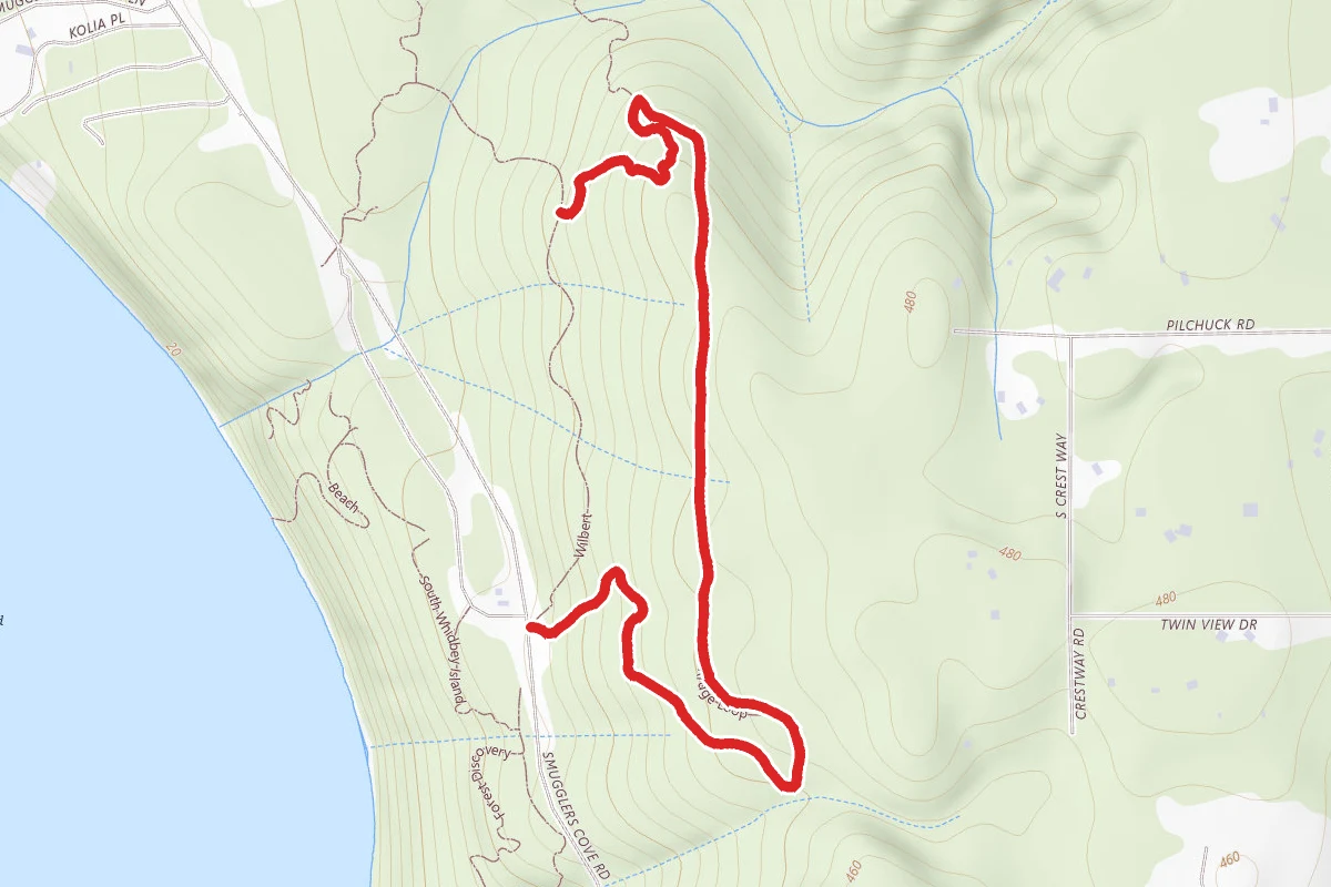 Ridge Loop