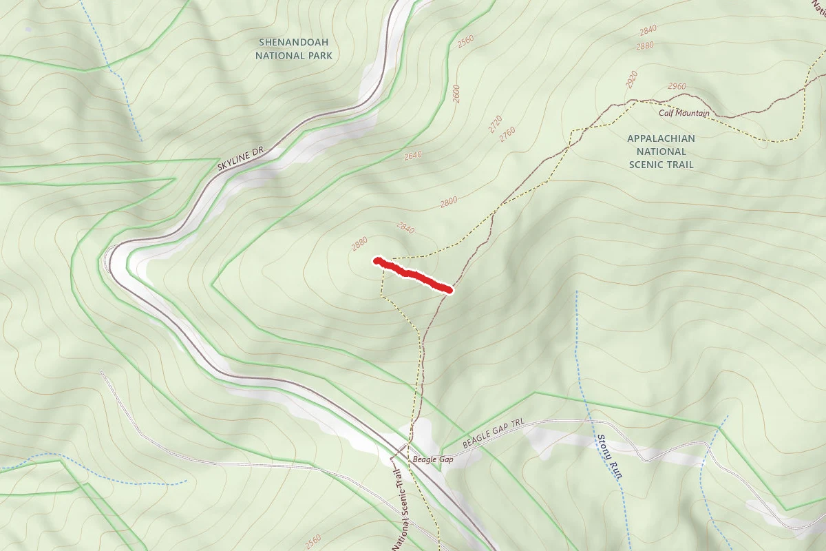 Calf Mtn Summit Trail