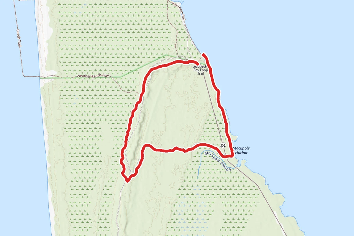 Dune Forest Loop