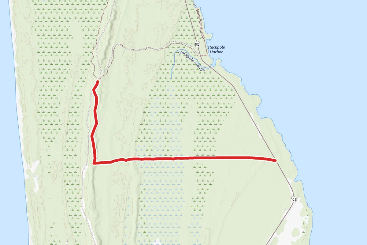 Martha Jordan Birding Trail