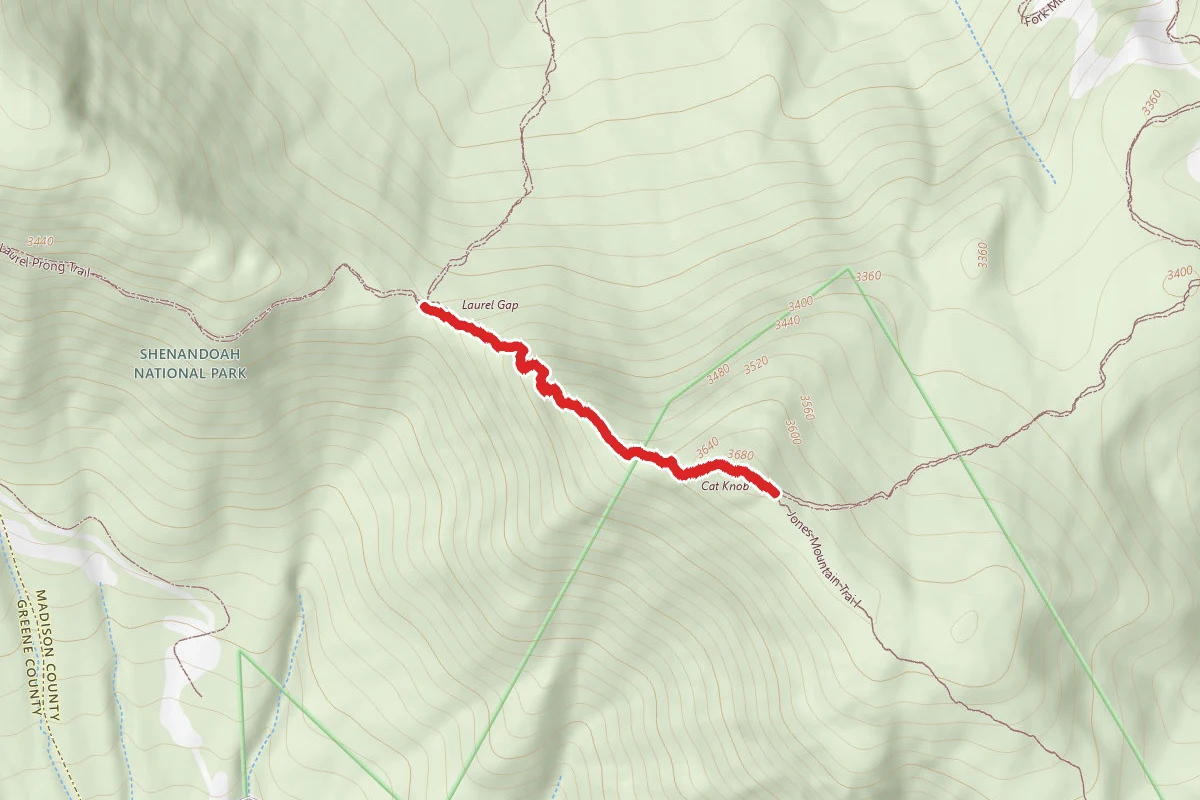 Cat Knob Trail