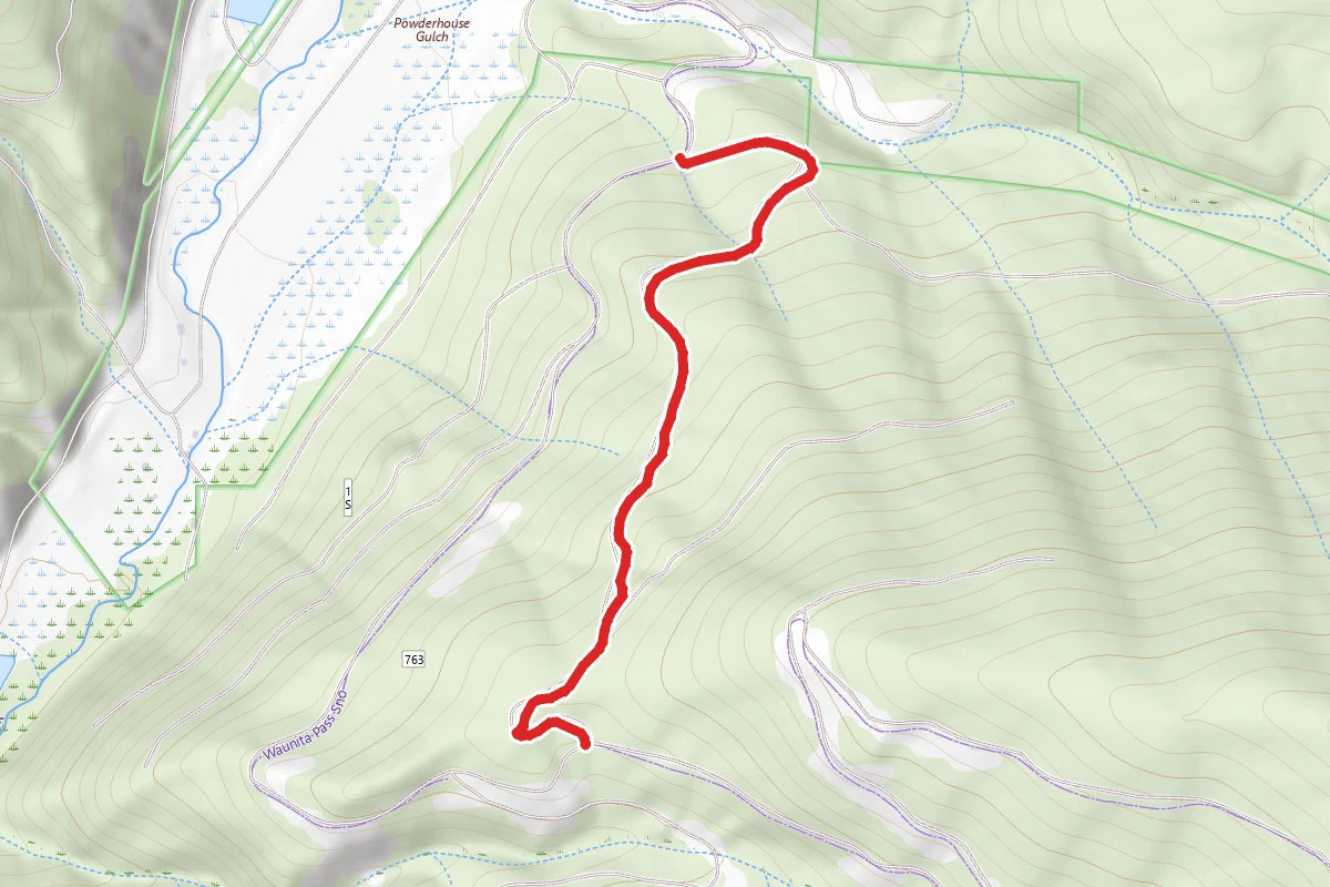 Waunita Pass Trail route map