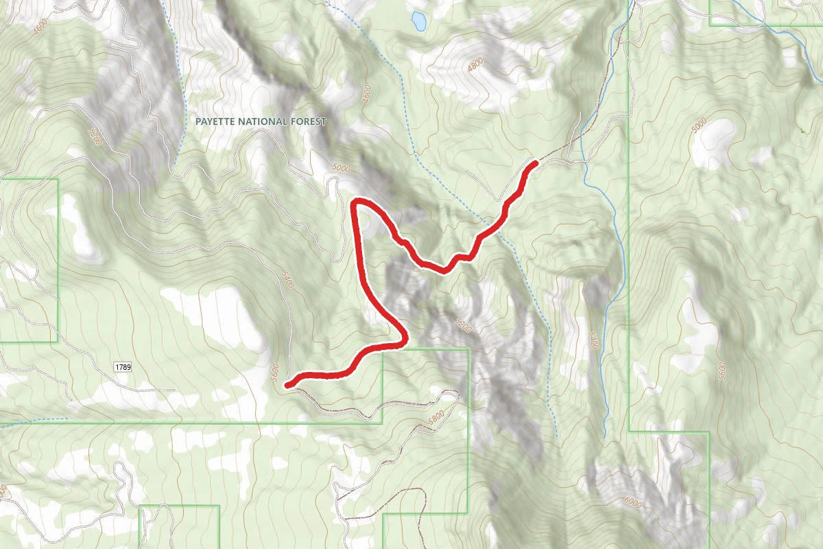Middle Fk Weiser-Fall Cr