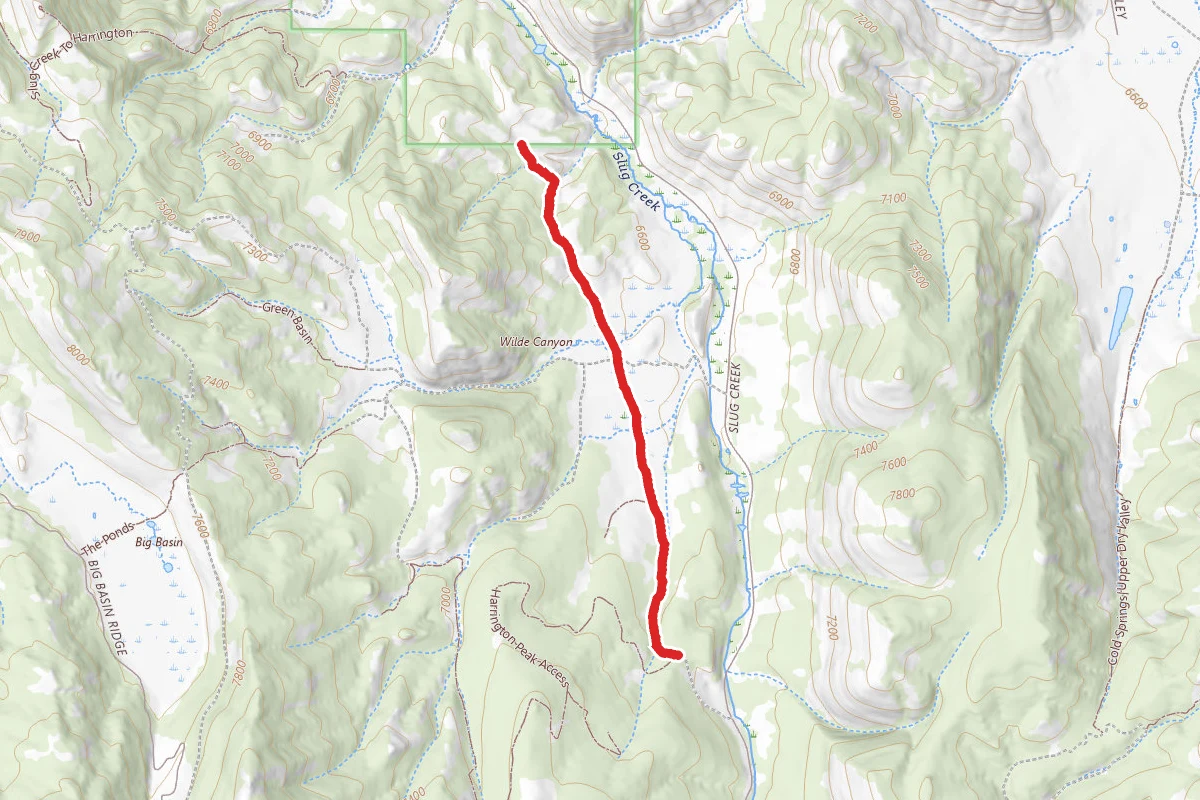 Wilde Canyon