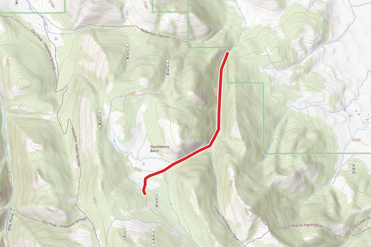 Huckleberry Basin