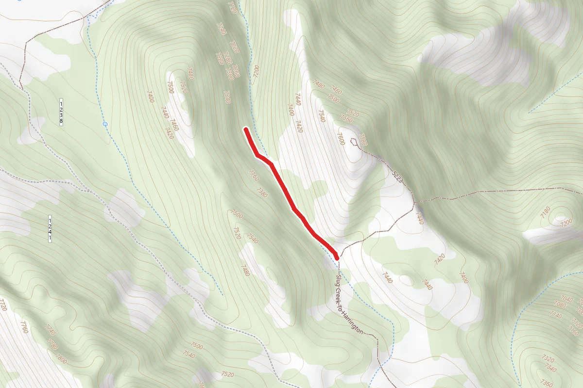 Lower Huckleberry Spur