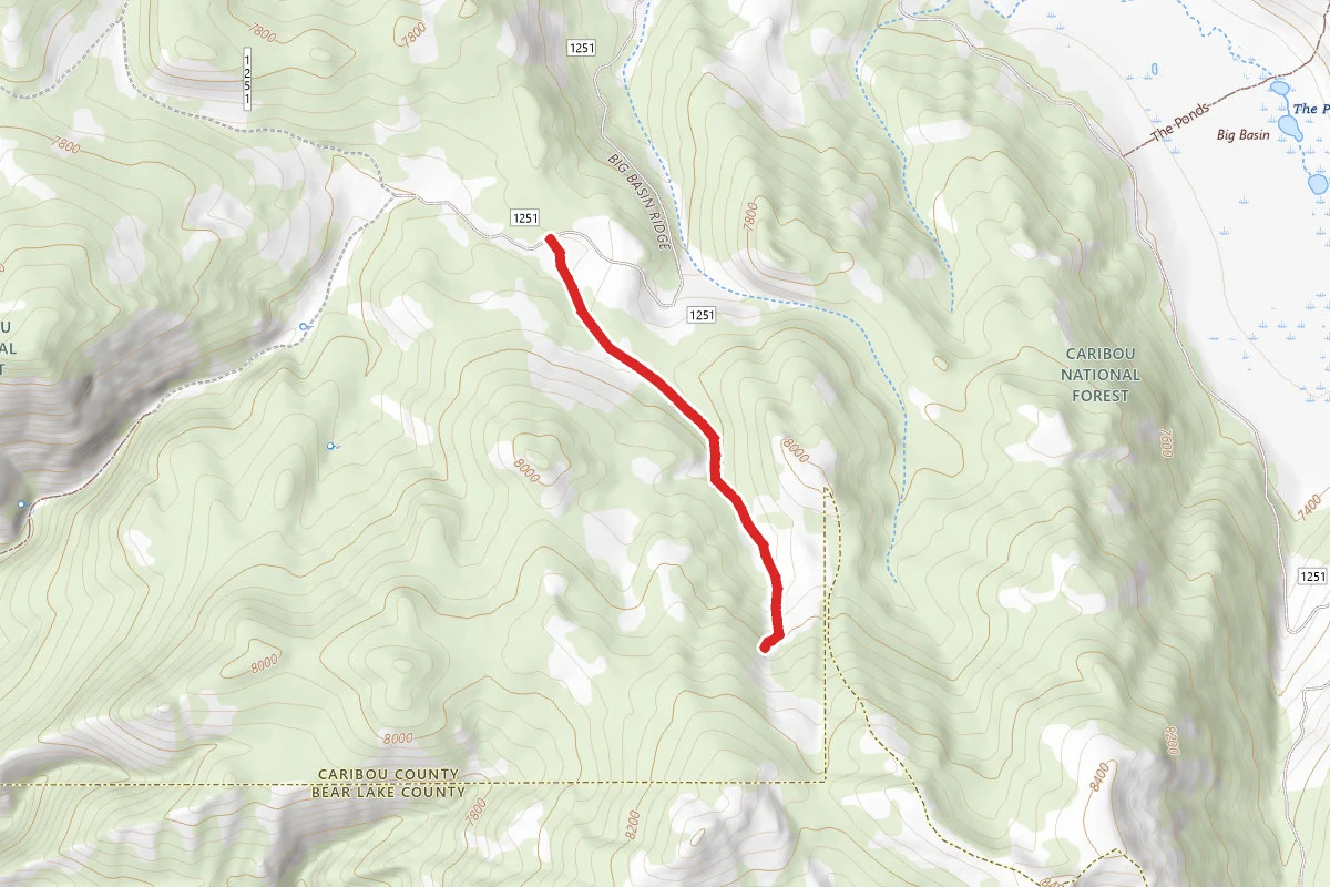 Fossil Ridge Spur