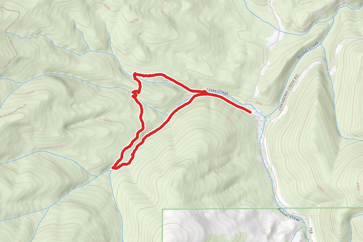 Lines Creek Historical