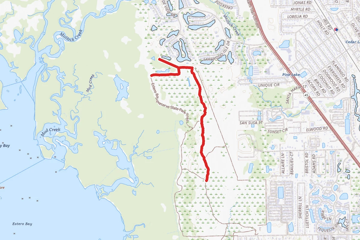 Estero River Scrub Trails