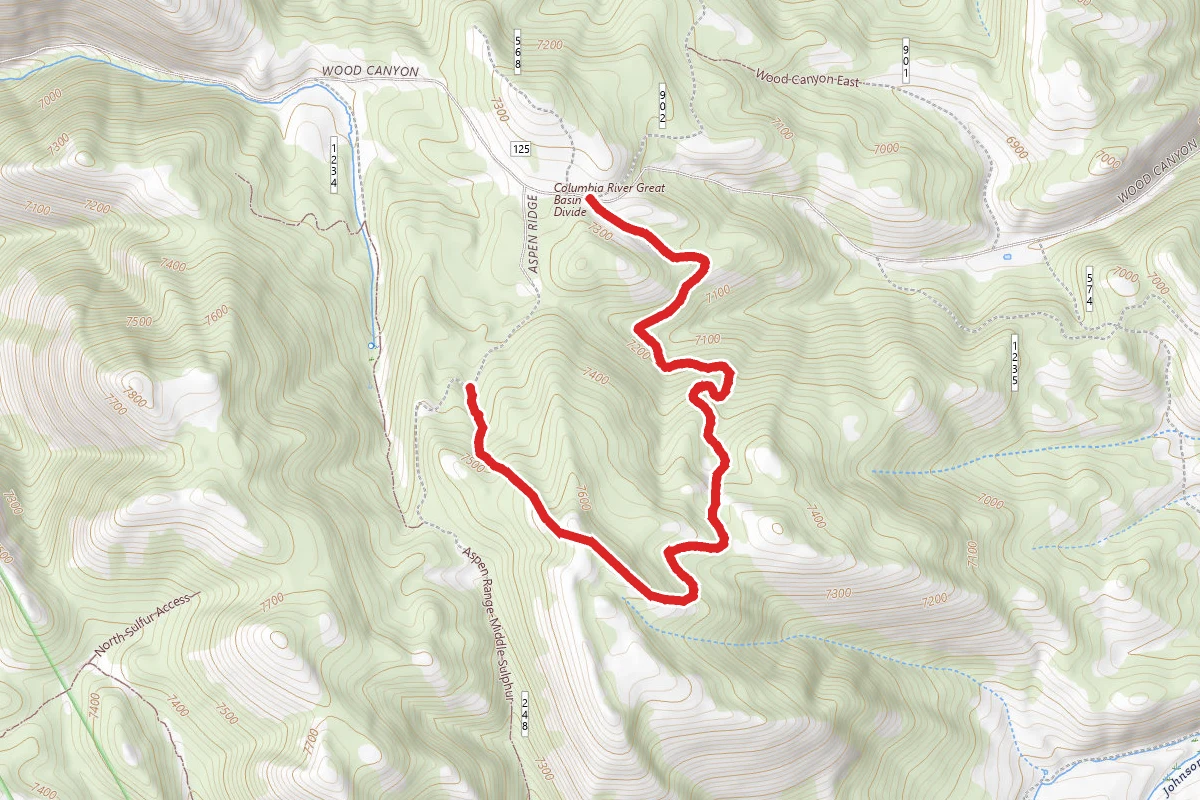 Wood Canyon Loop