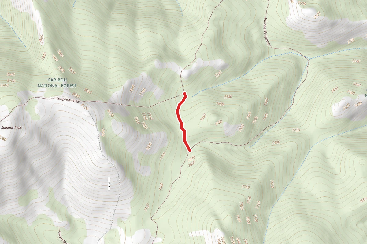 Upper Swan Sulfur Connector