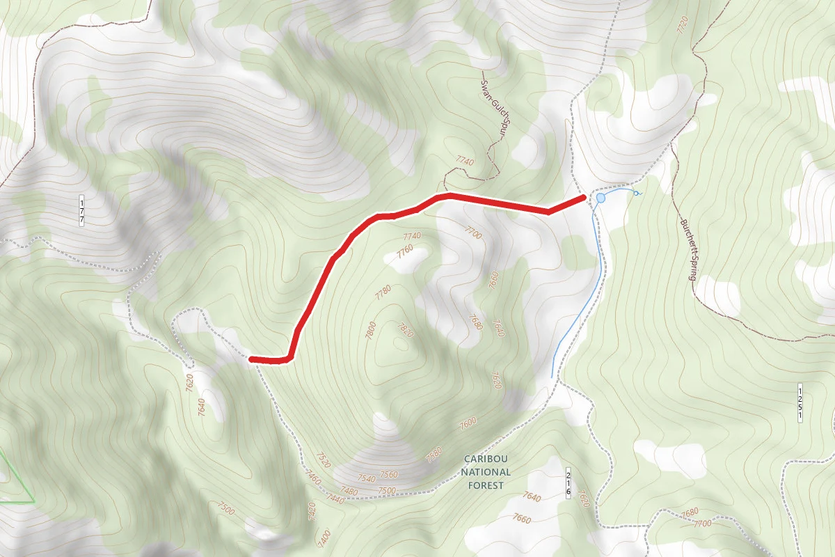 Swan Lake Gulch