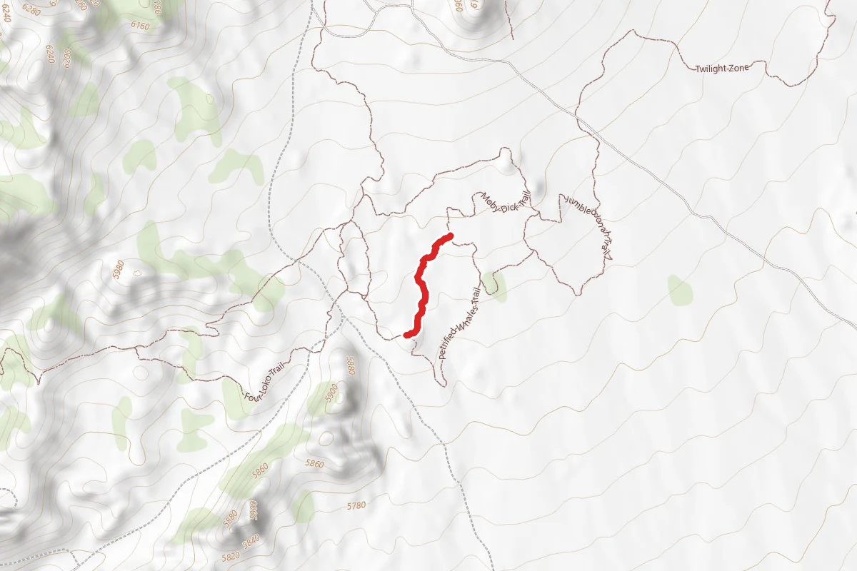 Humpback Trail