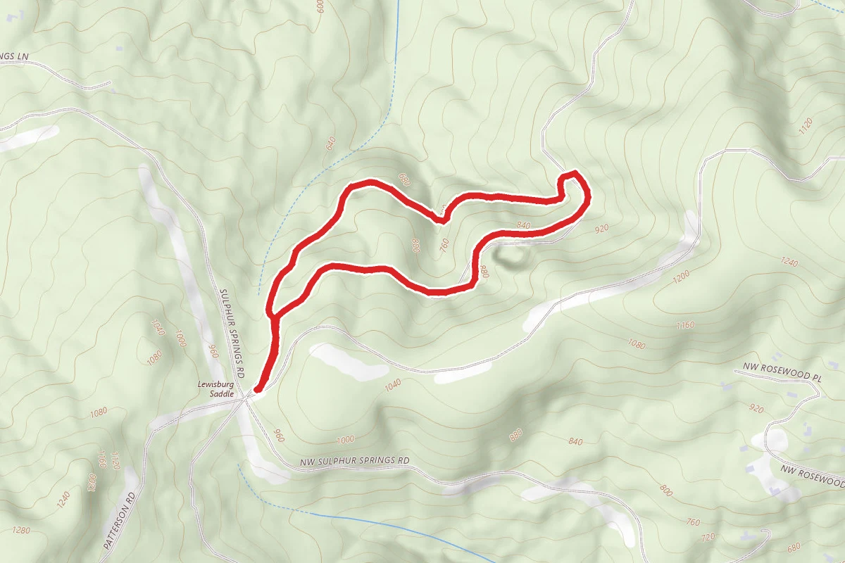 The Old Growth Trail