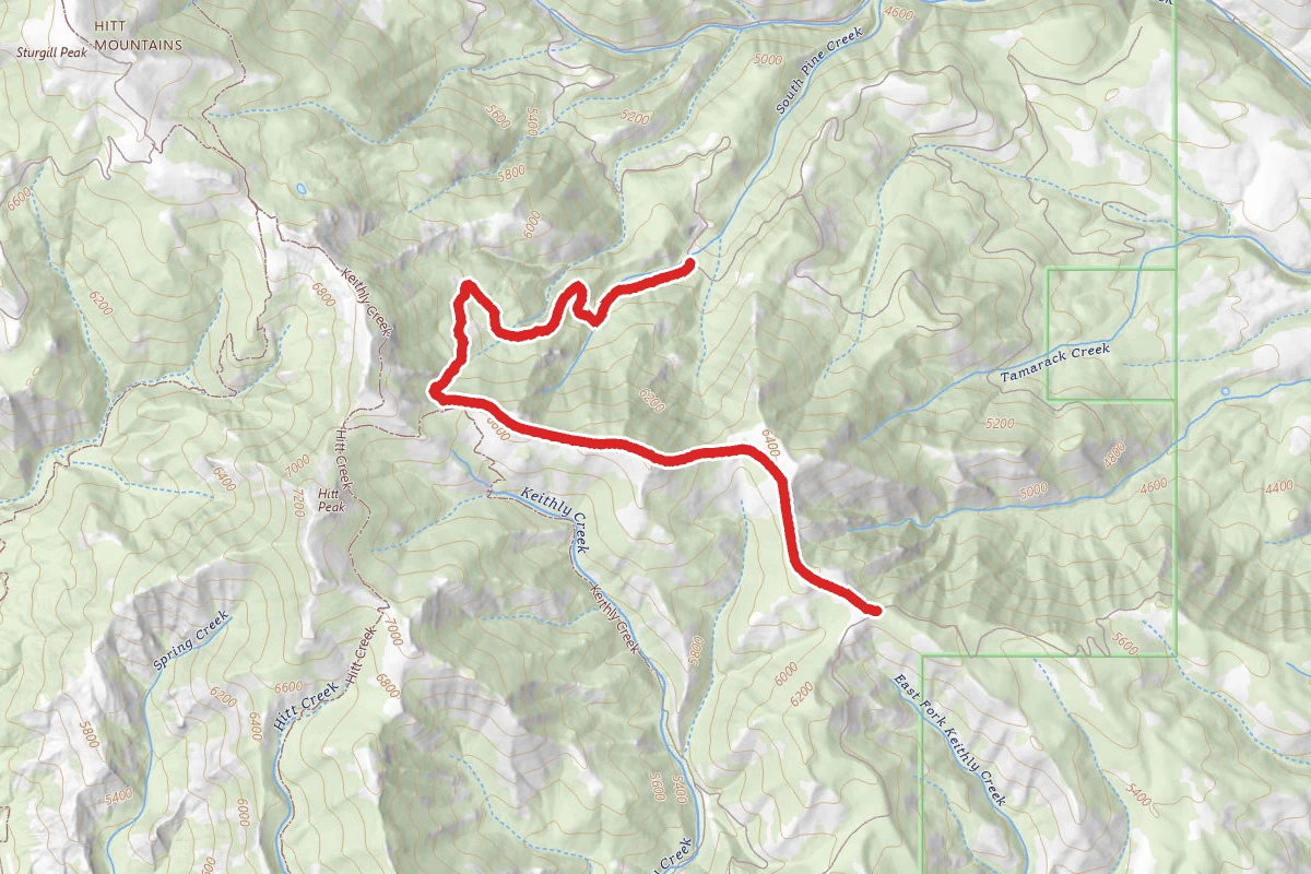 Surdam Loop