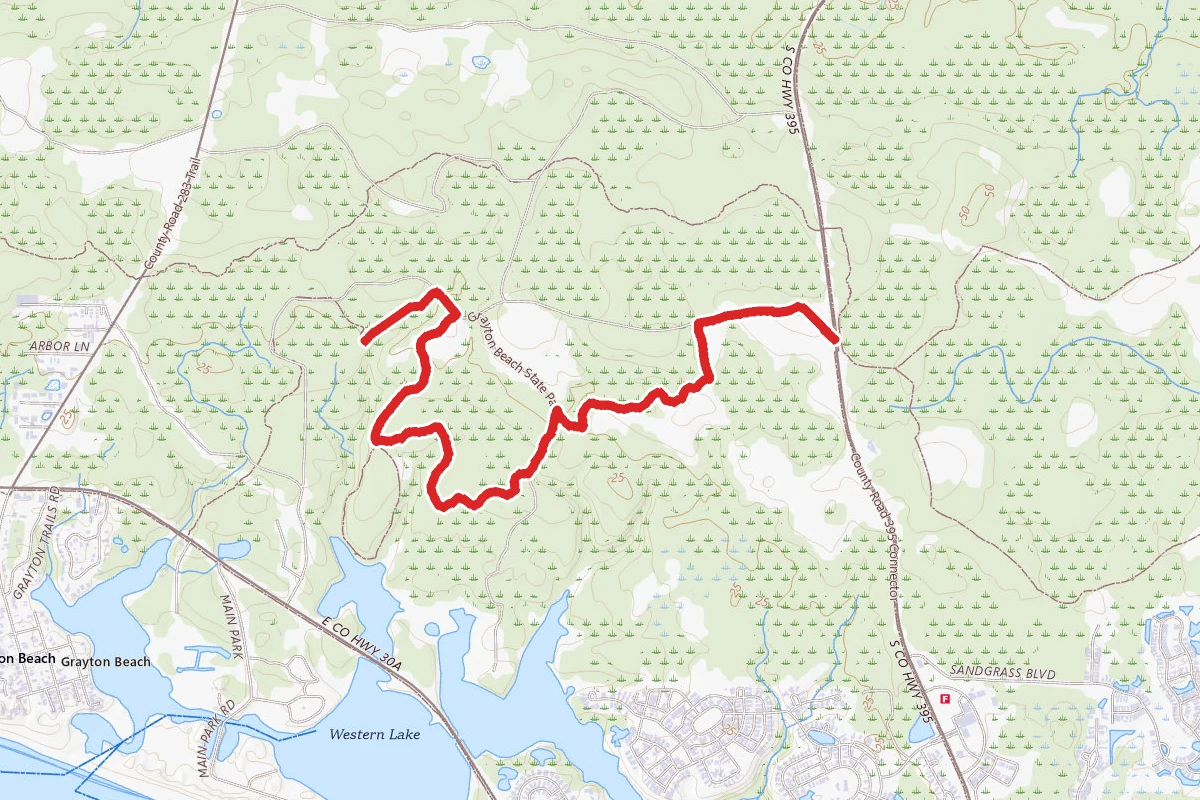 Grayton Beach Flatwoods Trail