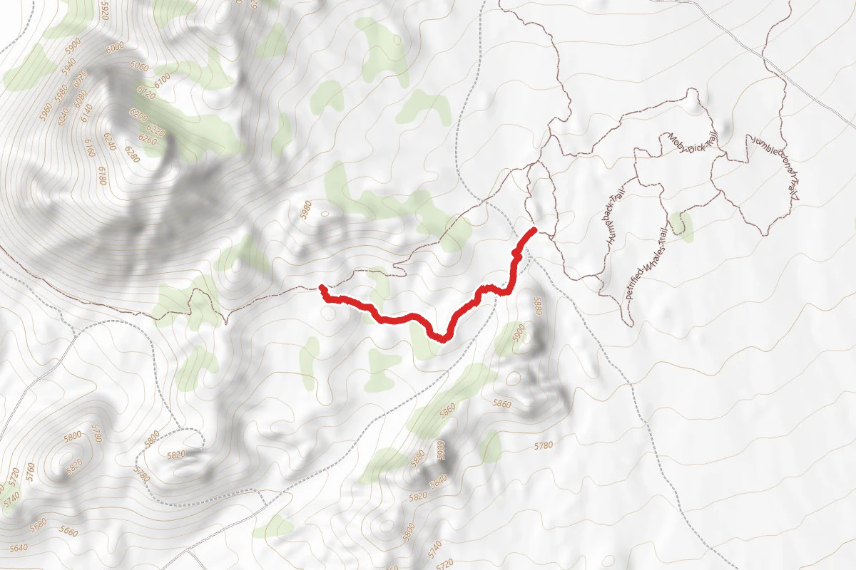 Four Loko Trail