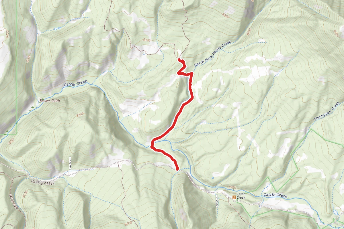 Lone Pine Trail