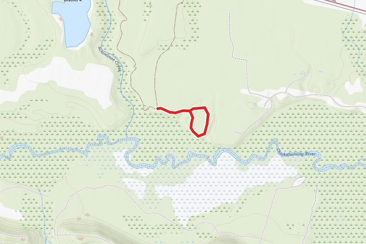 Chick Trail