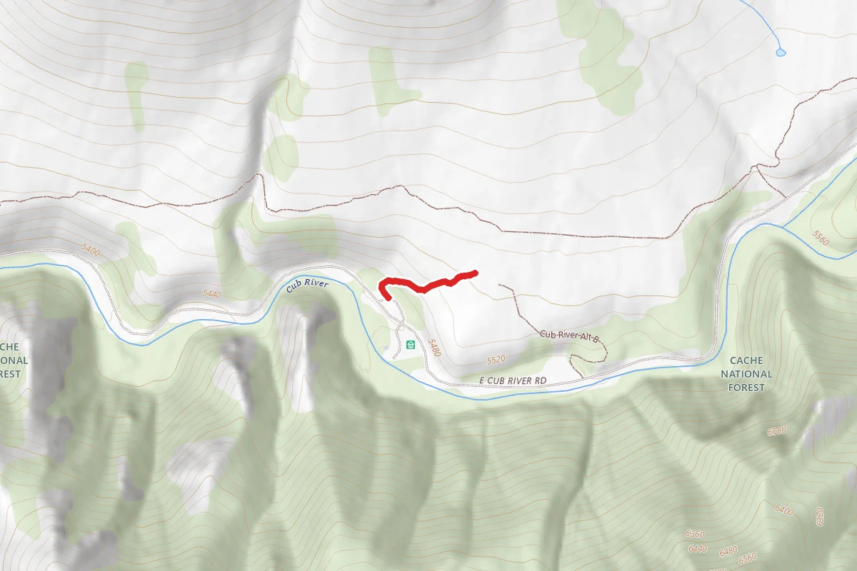 Cub River Alt A