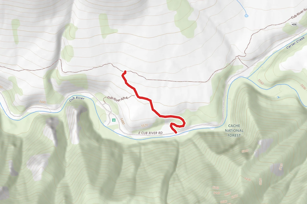 Cub River Alt B