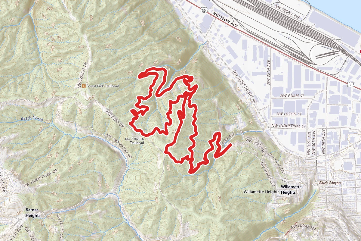 Wild Cherry, Wildwood, Alder, Dogwood Loop via Leif Erikson Drive