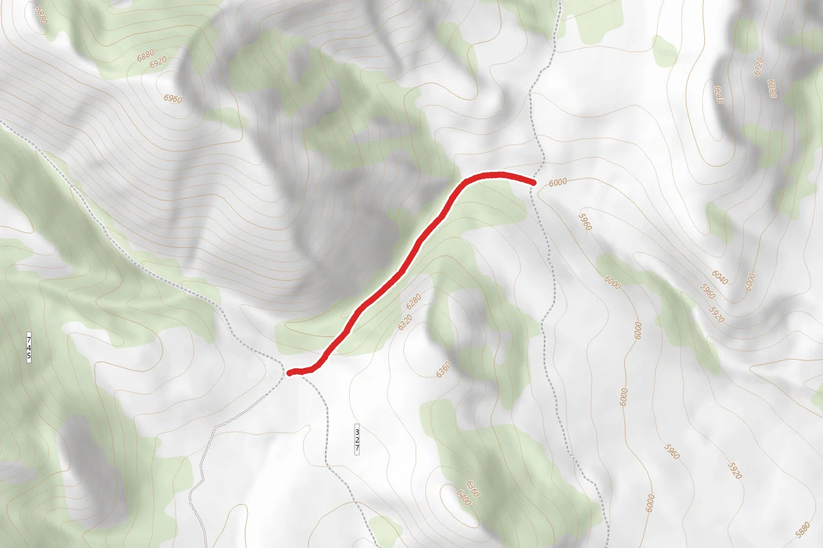 Old Canyon