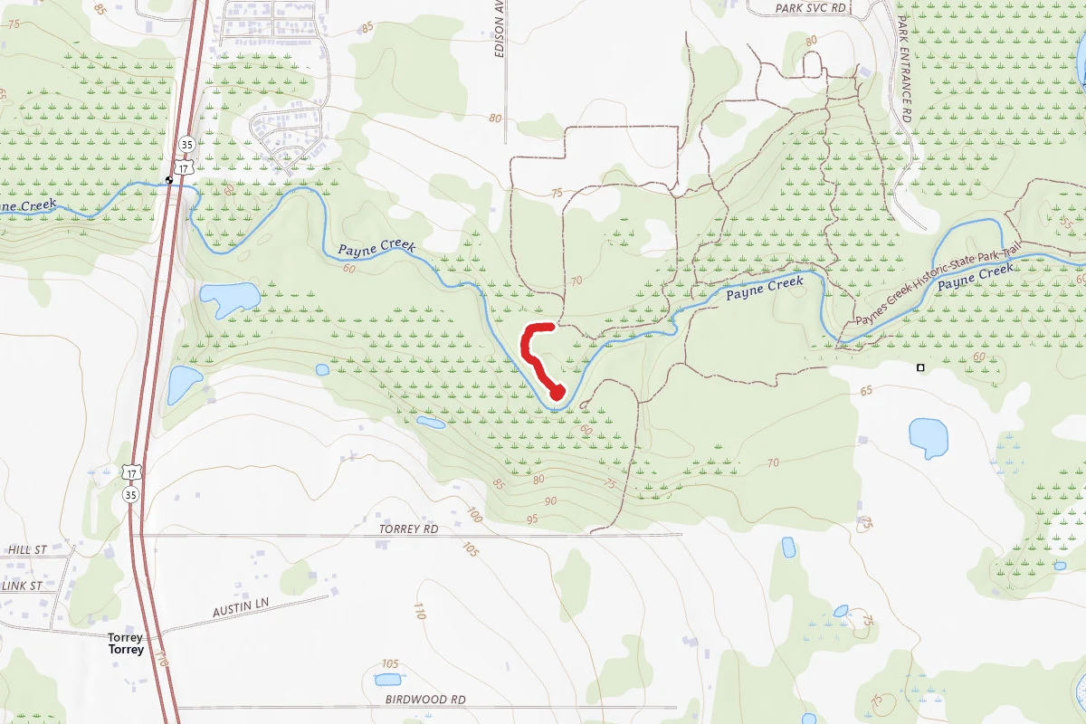 Mary Jane Trail
