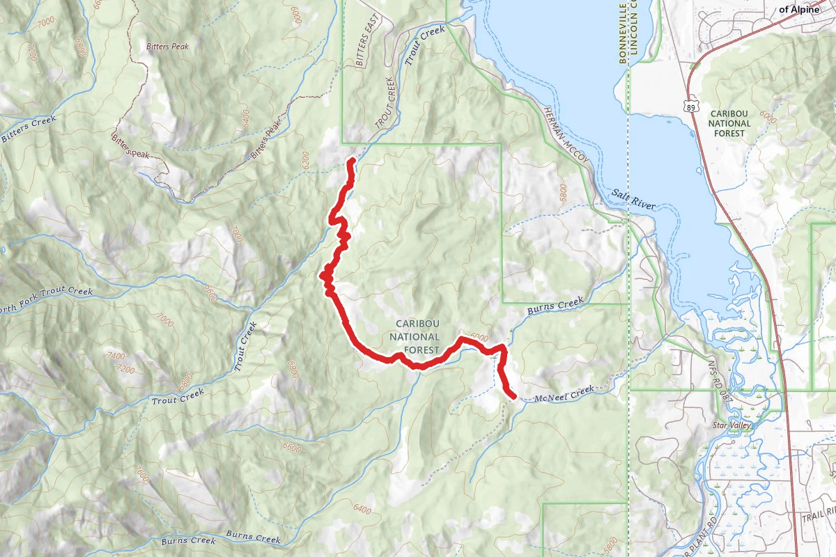 Burns/Trout Creek