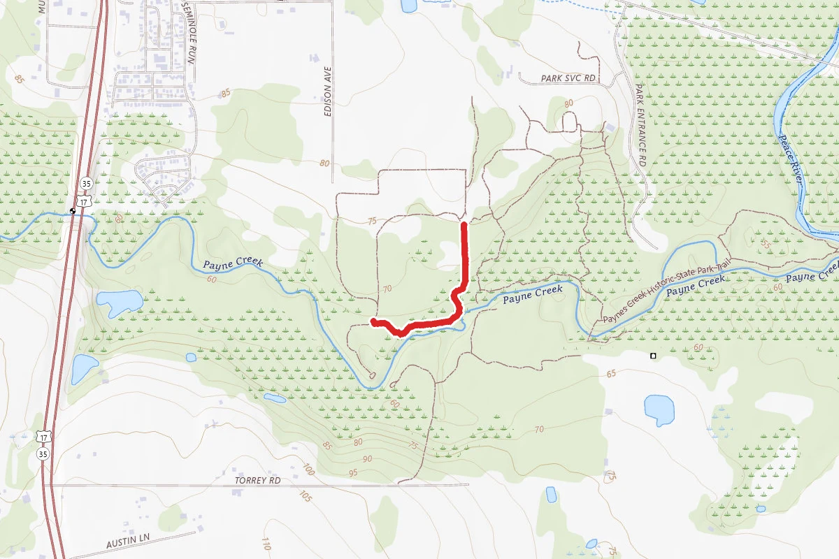 Mary Jane Trail #4
