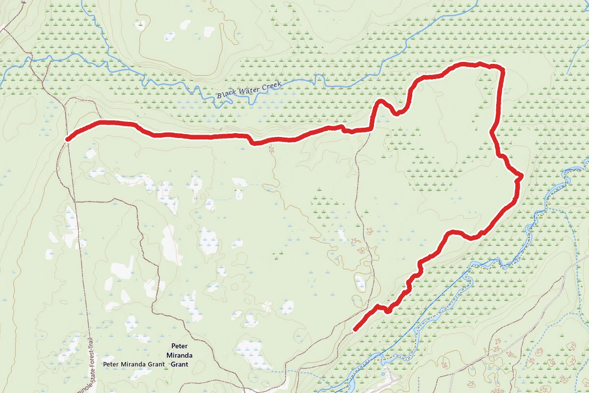 Lower Wekiva Loop
