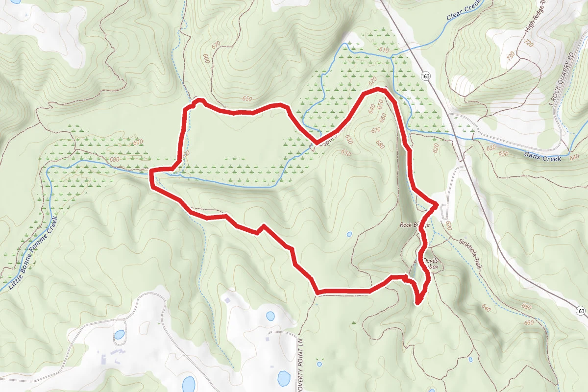 Spring Brook Trail Loop via Devil's Icebox Trail