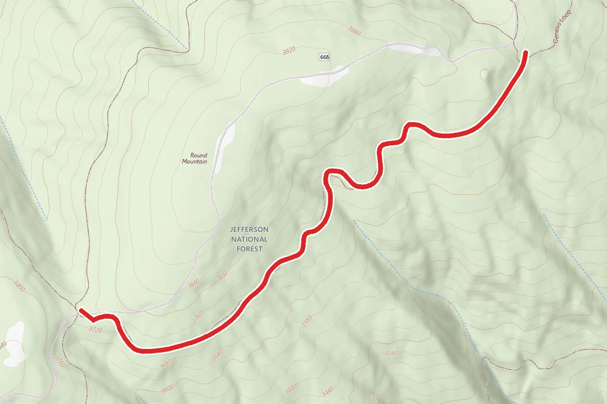 Chimney Loop - Forest Trail 6708