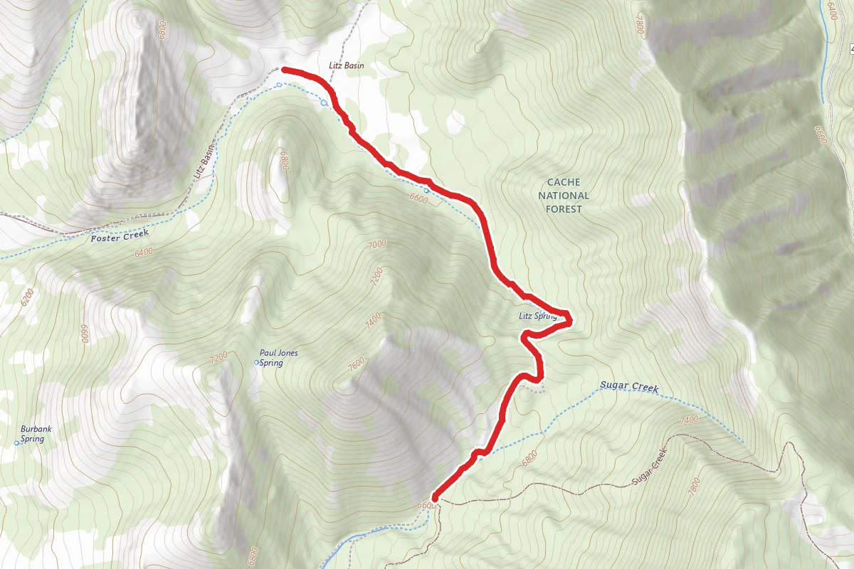 Litz Basin